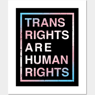 Trans Rights Posters and Art